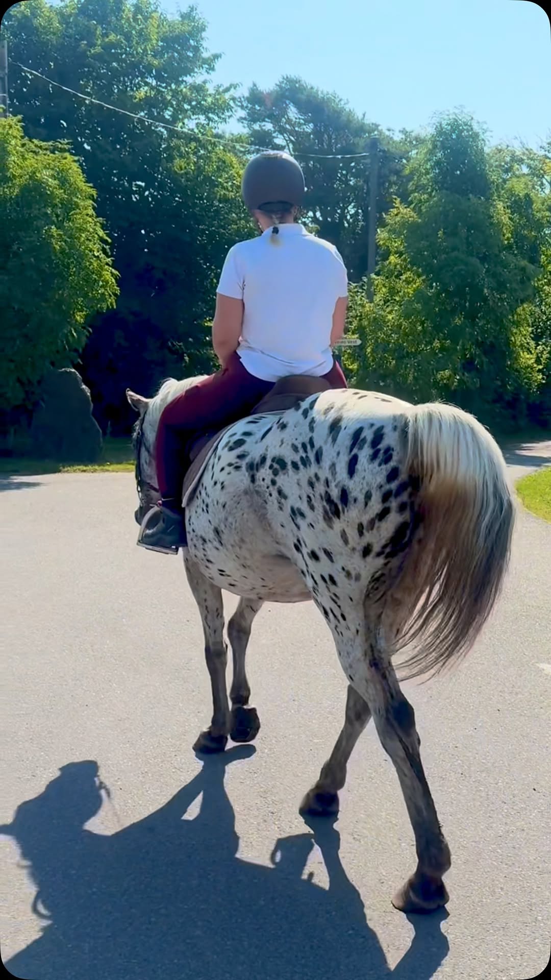 Dagsleir arrangeres tirsdag, onsdag og torsdag kl 10-15 inkl lunsj🤩passer fra 7… — Anonym fotograf