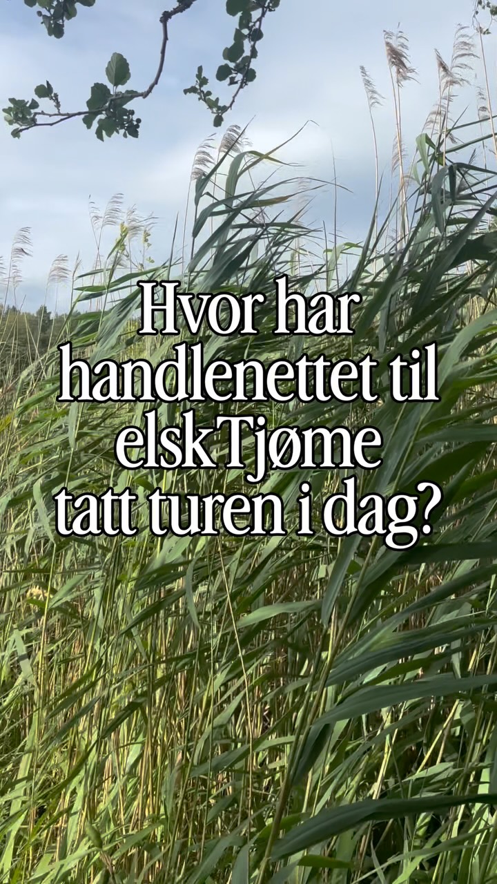 Gjett hvor handlenettet til elskTjøme har vært på tur - legg ditt svar igjen i k… — Anonym fotograf