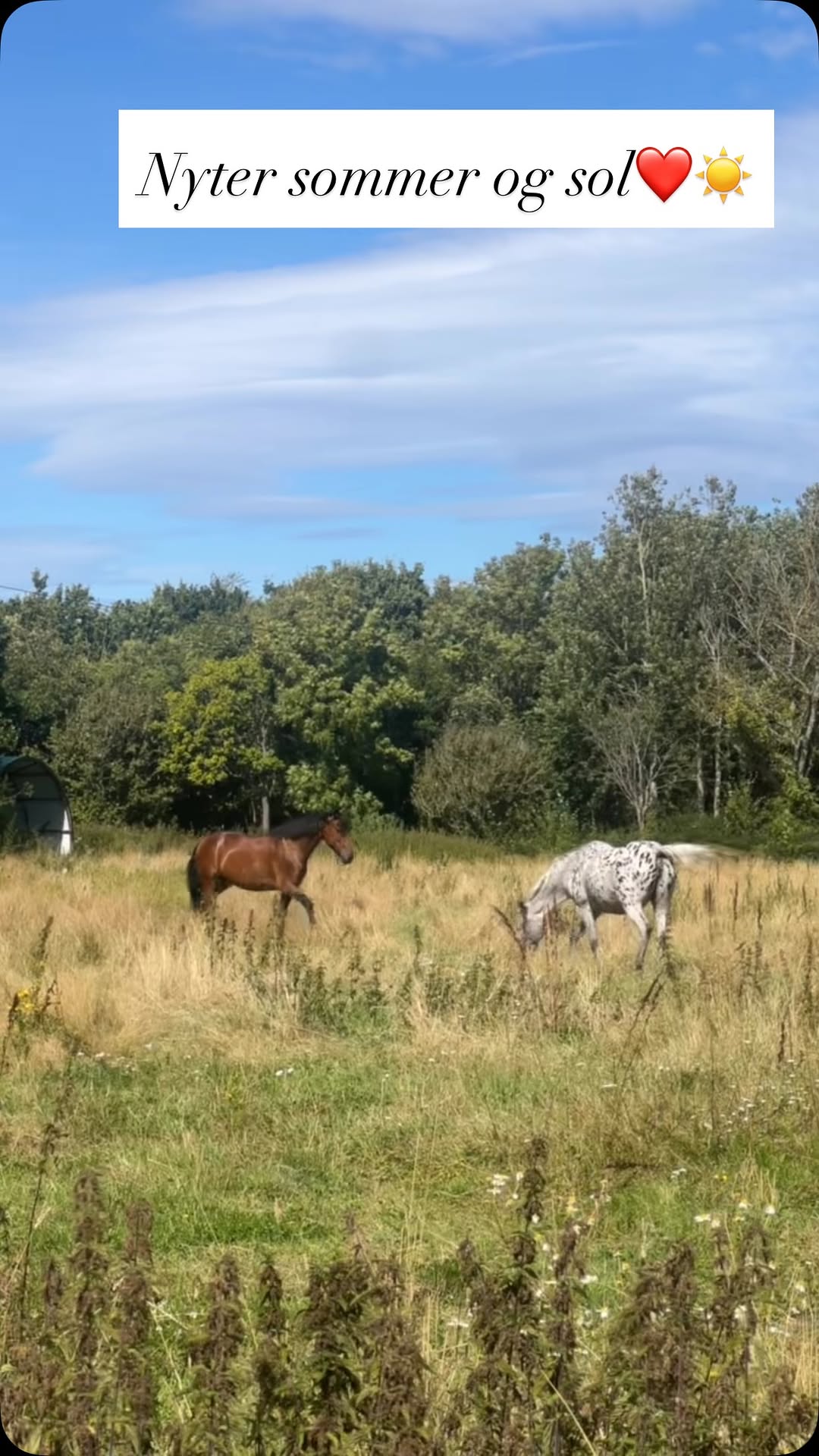 Nyter sommer på Tjøme og verdens ende🥰🥰